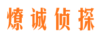 恒山市调查公司